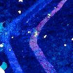 image: Image from the photoset &lsquo;damage (lxxv)&rsquo;.