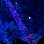 image: Image from the photoset &lsquo;damage (lxxv)&rsquo;.