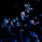 image: Image from the photoset &lsquo;damage (lxxvi)&rsquo;.