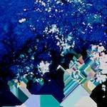 image: Image from the photoset &lsquo;damage (lxxvi)&rsquo;.