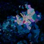 image: Image from the photoset &lsquo;damage (lxxvii)&rsquo;.