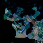 image: Image from the photoset &lsquo;damage (lxxvii)&rsquo;.