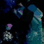 image: Image from the photoset &lsquo;damage (lxxvii)&rsquo;.