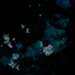 image: Image from the photoset &lsquo;damage (lxxviii)&rsquo;.