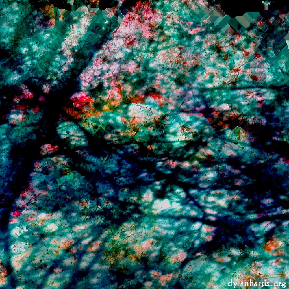 image: This is &lsquo;damage (lxxix) 2&rsquo;.