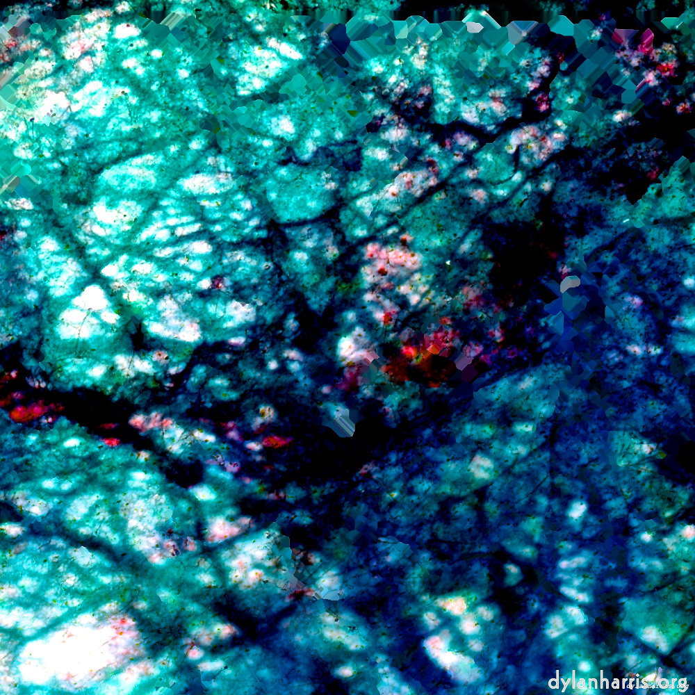 Image: Image 'damage (lxxix) 3'.