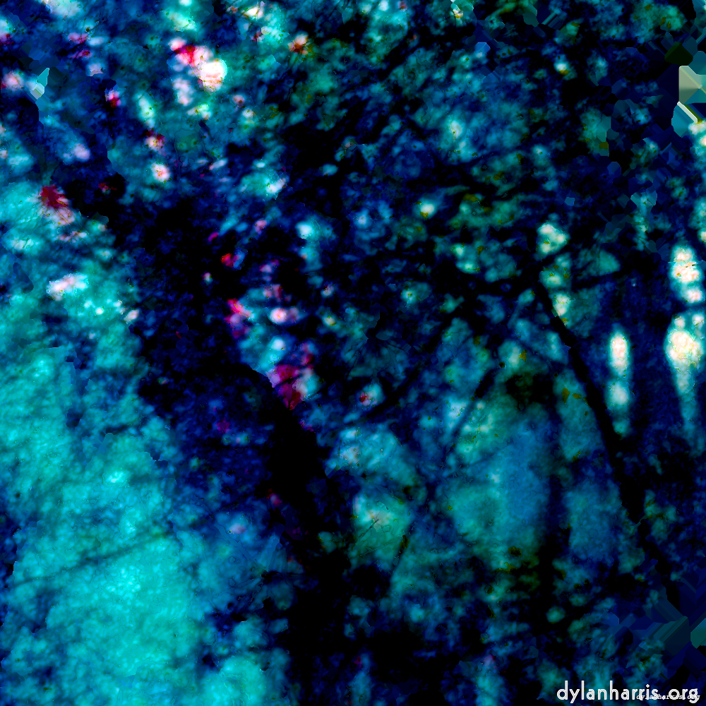 image: This is &lsquo;damage (lxxix) 6&rsquo;.