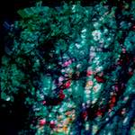 image: Image from the photoset &lsquo;damage (lxxix)&rsquo;.