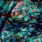 image: Image from the photoset &lsquo;damage (lxxix)&rsquo;.