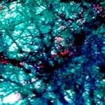 image: Image from the photoset &lsquo;damage (lxxix)&rsquo;.