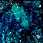 image: Image from the photoset &lsquo;damage (lxxix)&rsquo;.