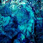 image: damage (lxxix) photoset