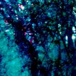 image: Image from the photoset &lsquo;damage (lxxix)&rsquo;.