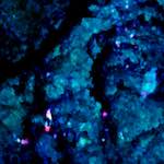 image: Image from the photoset &lsquo;damage (lxxix)&rsquo;.