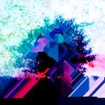 damage 61&ndash;80 photosets