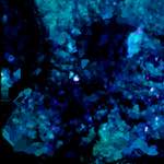 image: Image from the photoset &lsquo;damage (lxxx)&rsquo;.