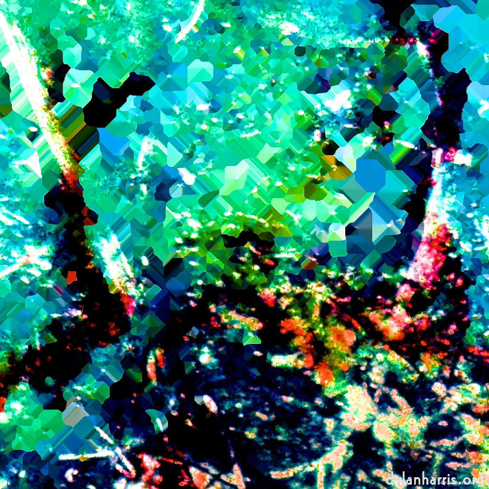 image: This is &lsquo;damage (lxxxi) 1&rsquo;.