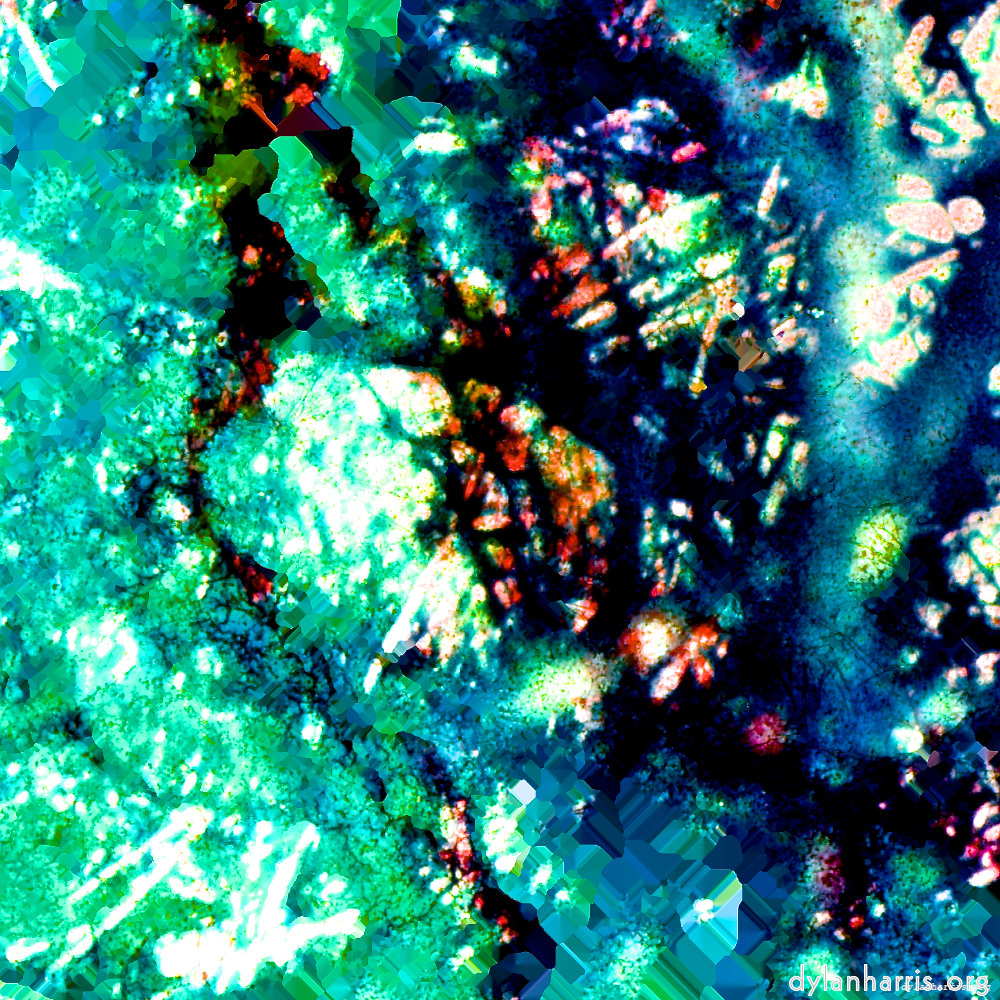 image: This is &lsquo;damage (lxxxi) 7&rsquo;.