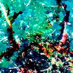 image: Image from the photoset &lsquo;damage (lxxxi)&rsquo;.