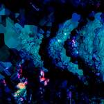 image: Image from the photoset &lsquo;damage (lxxxi)&rsquo;.