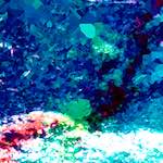 image: Image from the photoset &lsquo;damage (lxxxi)&rsquo;.