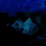 image: Image from the photoset &lsquo;damage (lxxxiii)&rsquo;.