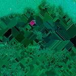 image: Image from the photoset &lsquo;damage (lxxxiv)&rsquo;.