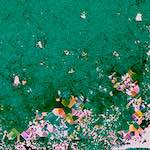 image: Image from the photoset &lsquo;damage (lxxxiv)&rsquo;.