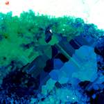 image: Image from the photoset &lsquo;damage (lxxxv)&rsquo;.