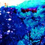 image: Image from the photoset &lsquo;damage (lxxxv)&rsquo;.