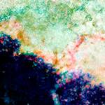 image: Image from the photoset &lsquo;damage (lxxxvi)&rsquo;.