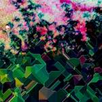 image: Image from the photoset &lsquo;damage (lxxxvii)&rsquo;.