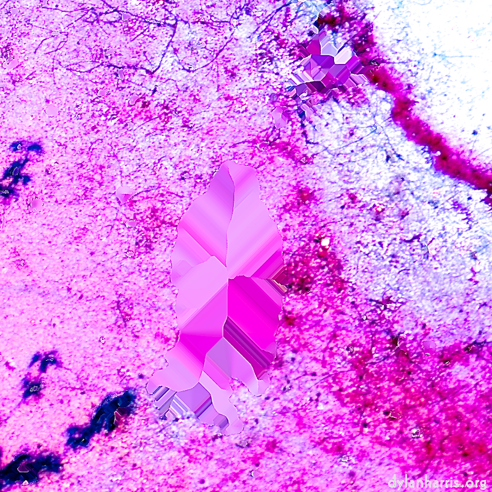 image: This is &lsquo;damage (lxxxviii) 8&rsquo;.