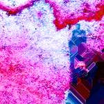 image: Image from the photoset &lsquo;damage (lxxxviii)&rsquo;.