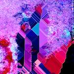 image: Image from the photoset &lsquo;damage (lxxxviii)&rsquo;.