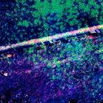 image: Image from the photoset &lsquo;damage (lxxxviii)&rsquo;.