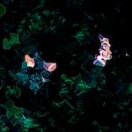 image: Image from the photoset &lsquo;damage (lxxxix)&rsquo;.