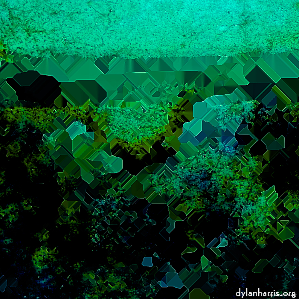 image: This is &lsquo;damage (xc) 2&rsquo;.