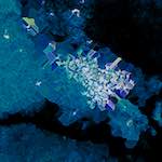 image: Image from the photoset &lsquo;damage (xcii)&rsquo;.