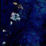 image: Image from the photoset &lsquo;damage (xcii)&rsquo;.