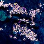 image: Image from the photoset &lsquo;damage (xciii)&rsquo;.