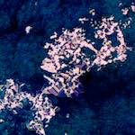 image: Image from the photoset &lsquo;damage (xciii)&rsquo;.