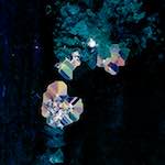 image: Image from the photoset &lsquo;damage (xcvi)&rsquo;.