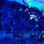 image: Image from the photoset &lsquo;damage (xcvii)&rsquo;.