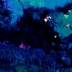 image: Image from the photoset &lsquo;damage (xcvii)&rsquo;.