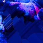 image: Image from the photoset &lsquo;damage (cii)&rsquo;.