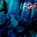 image: Image from the photoset &lsquo;damage (civ)&rsquo;.