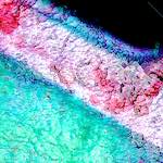 image: Image from the photoset &lsquo;damage (civ)&rsquo;.