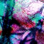 image: Image from the photoset &lsquo;damage (cv)&rsquo;.