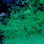 image: Image from the photoset &lsquo;damage (cvi)&rsquo;.